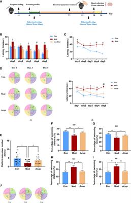 “Adjust Zang and arouse spirit” electroacupuncture ameliorates cognitive impairment by reducing endoplasmic reticulum stress in db/db mice